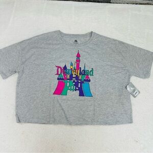 Disneyland Adult Castle Icons gray short sleeve oversized drop should Tee Size L